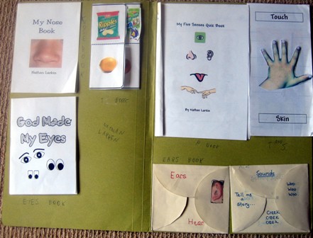 Five Senses Lapbook