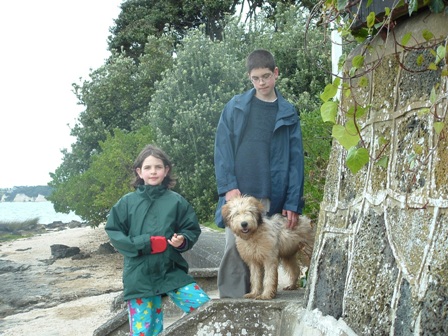 Merry Heart - our soft-coated wheaten terrier